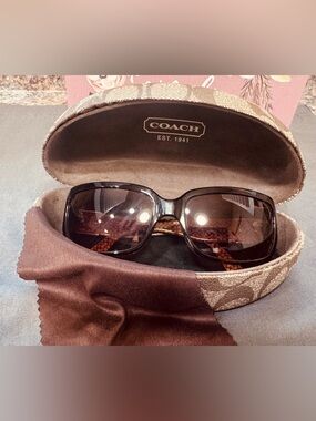 Coach Brown Gradient Oversized Sunglasses with Signature Detailing